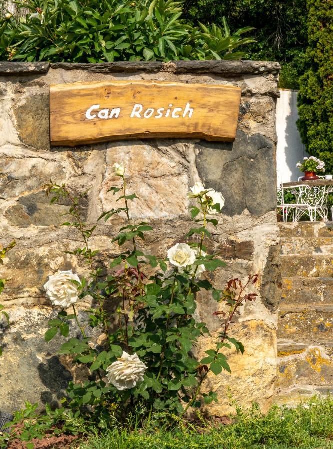 Can Rosich Santa Susanna Exterior photo